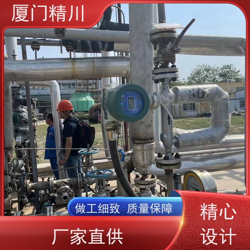 精川高校小口径质量流量计接液316L材质省心