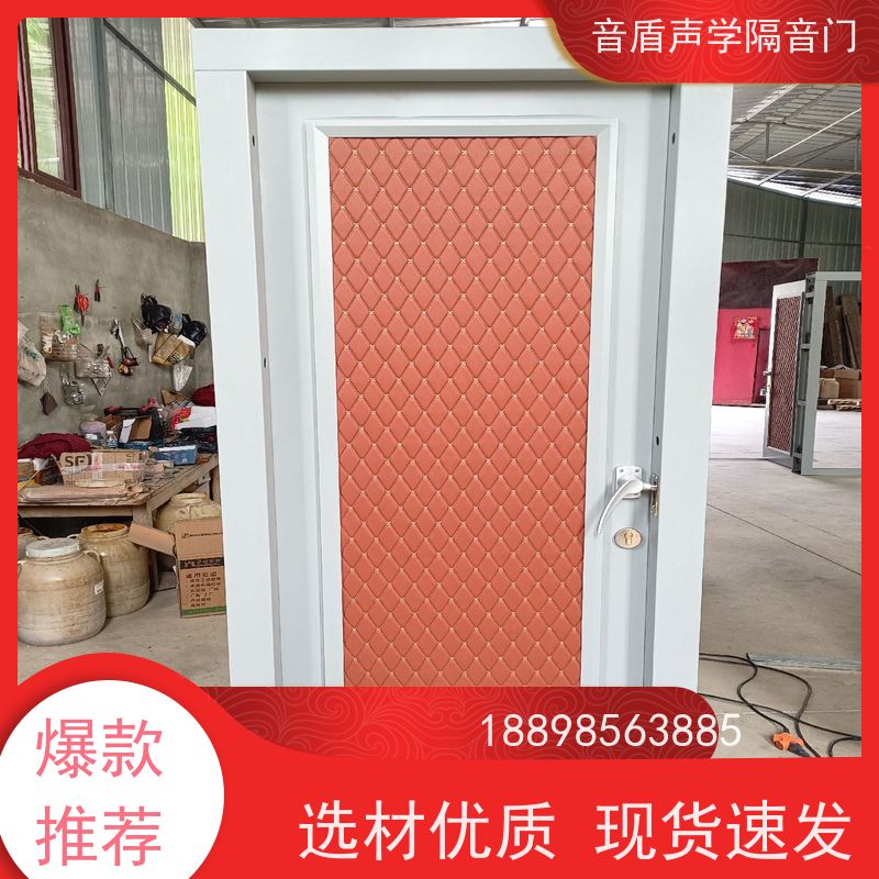 音盾科技 钢琴房 防火隔声门 品质保证 非标定制生产