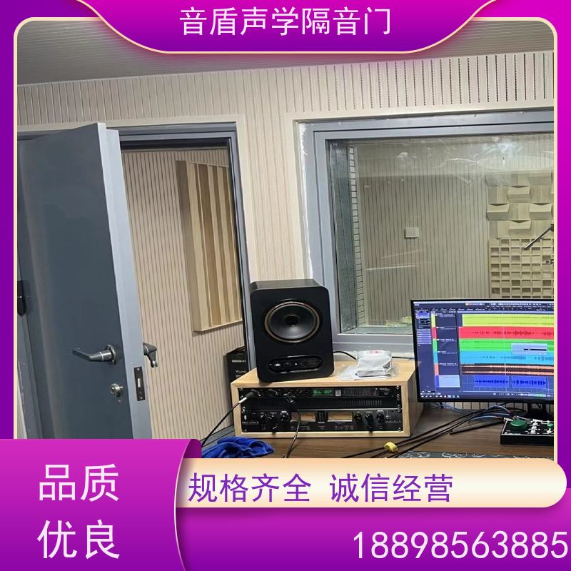音盾科技 钢琴房 防火隔声门 值得信赖 非标定制生产