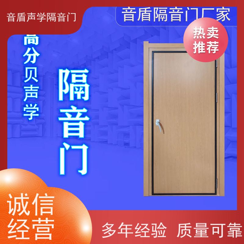 音盾 多年经验 电影院防火隔音门 品质保证 定制生产