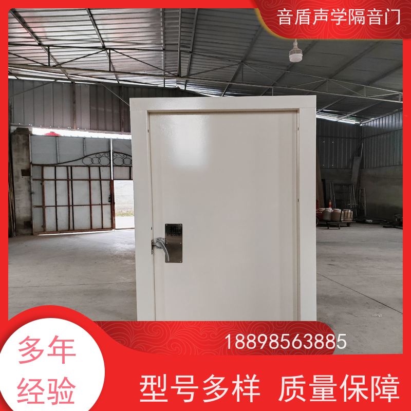 音盾科技 架子鼓房 防火隔声门 品质保证 款式齐全