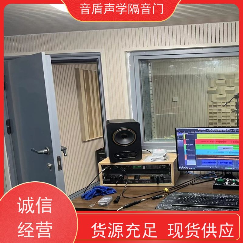 音盾科技 家用 防火隔音门 品质保证 生产批发厂家
