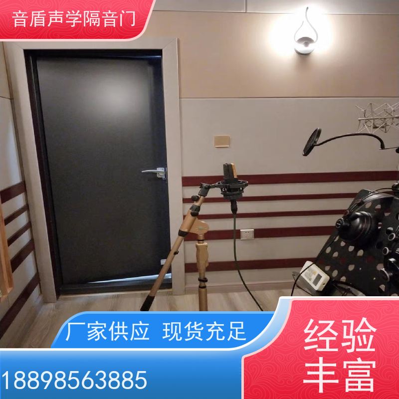 音盾声学 摄影棚 防火隔声门 品质保证 款式齐全