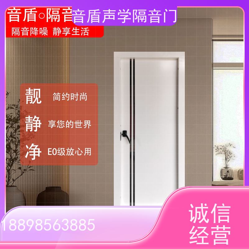 音盾 多年经验 直播间隔音门 品质保证 款式齐全