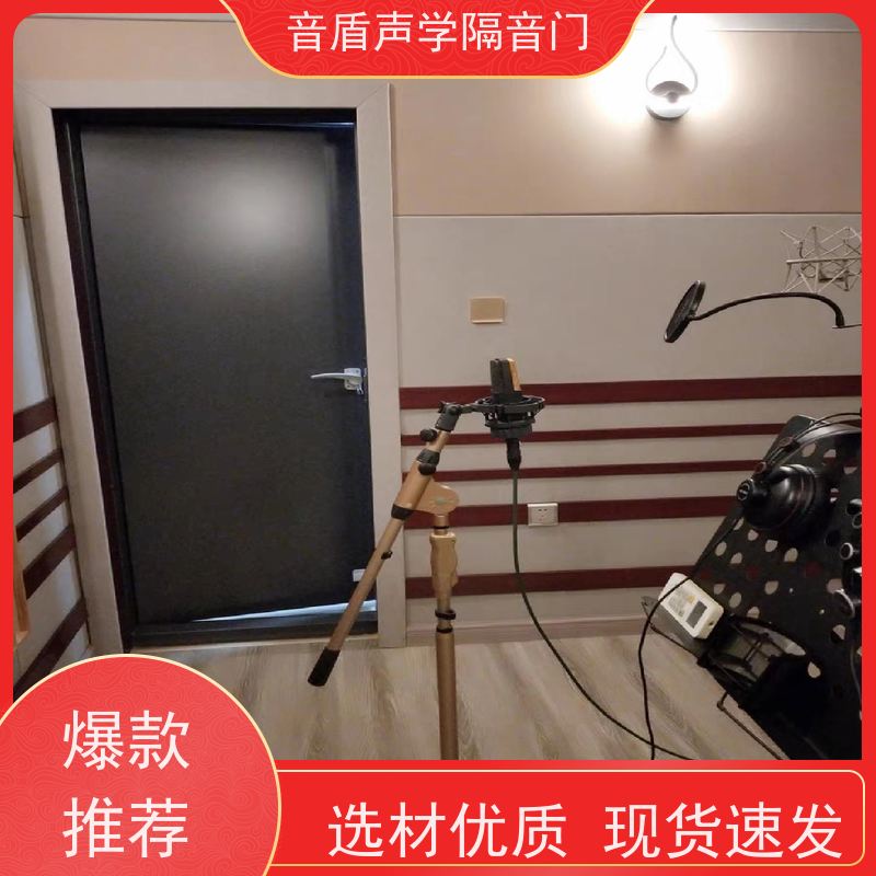 音盾声学 录音棚 静音门 品质保证 定制生产厂家