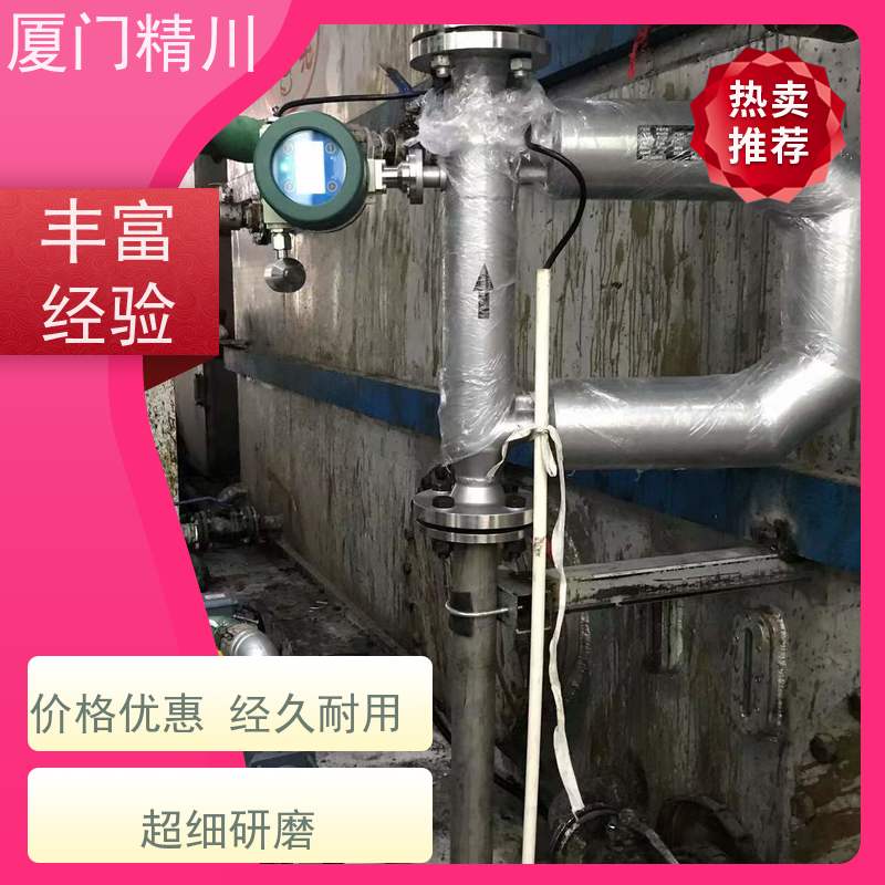 精川股份大学实验室U型质量流量计连接方式支持定制更放心