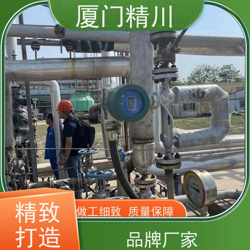 精川 制药厂DN1质量流量计 连接方式支持定制 省心