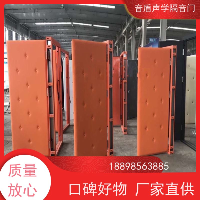 音盾科技 家庭影院 防火隔音门 品质保证 款式齐全