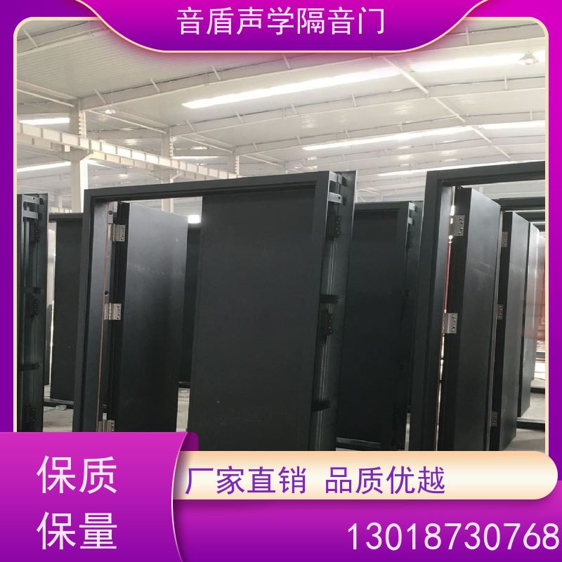 音盾科技 音乐教室 防火隔声门 品质保证 大型定制工厂