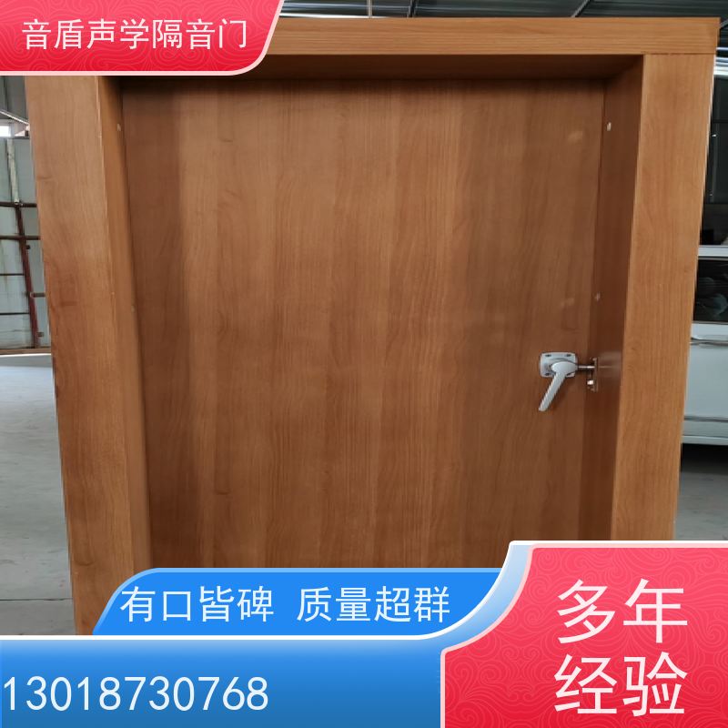 音盾科技 演播室 防火隔音门 实业 大型定制工厂