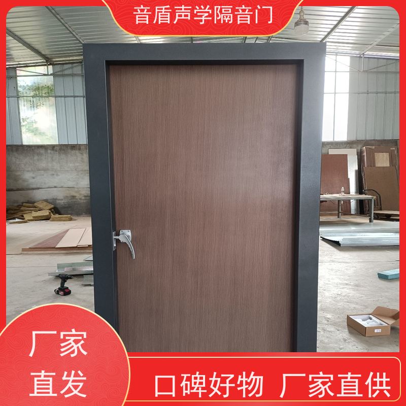 音盾声学 音乐教室 隔音门 品质保证 大型定制工厂