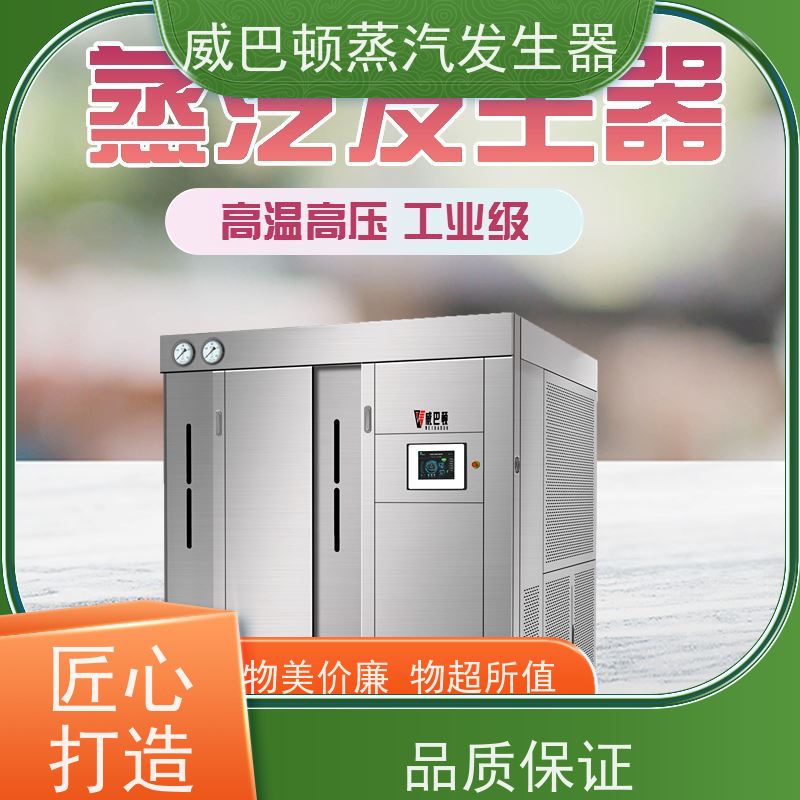  烘干熨烫 新能源环保锅炉 多台并联省气稳供 泡沫厂