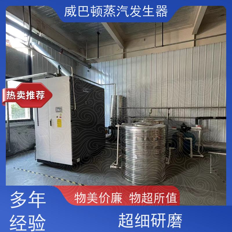  灭菌消毒 工业蒸汽发生器 小车间也能轻松装 混凝土养护
