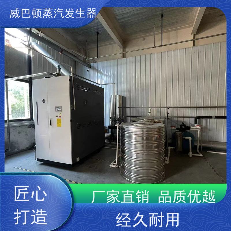  新型国标 食品级蒸汽发生器 热效率 101% 还省气 饲料行业