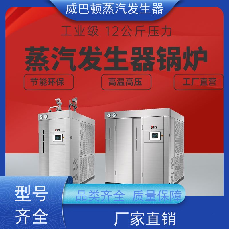  低氮冷凝 0.3T蒸汽发生器 多台并联省气稳供 化工厂