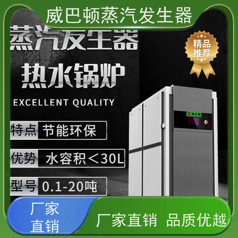  灭菌消毒 贯流蒸汽锅炉 水容积≤30L，合规又省心 泡沫厂
