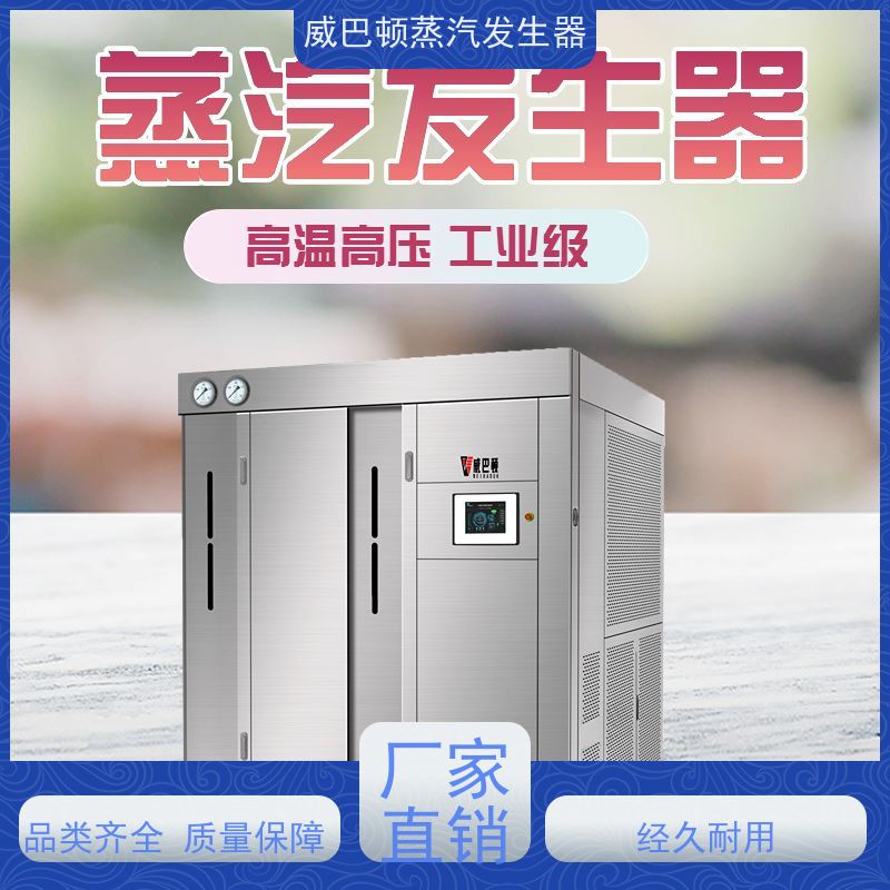 新型国标 液化气蒸汽发生器 水容积≤30L，合规又省心