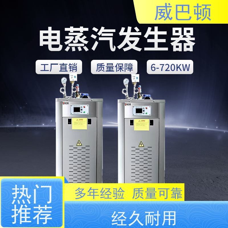  防干烧 不锈钢电热蒸汽发生器 水容积≤30L 免监检 高压7公斤