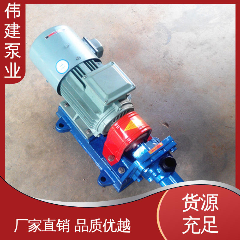 伟建生产 振动小噪音低 规格齐全 化工保温用 点火油泵 