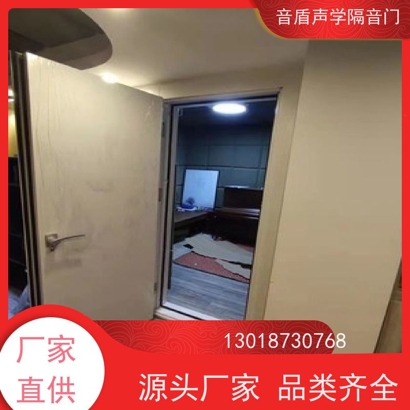 音盾科技 会议室 隔音门 品质保证 生产批发厂家