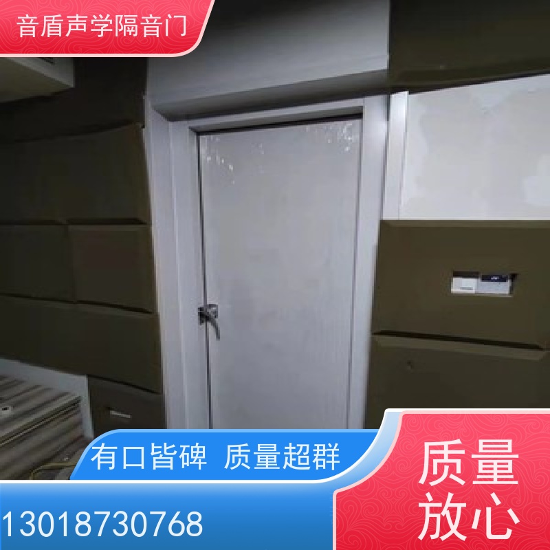 音盾科技 钢质木纹 防火隔音门 品质保证 大型定制工厂