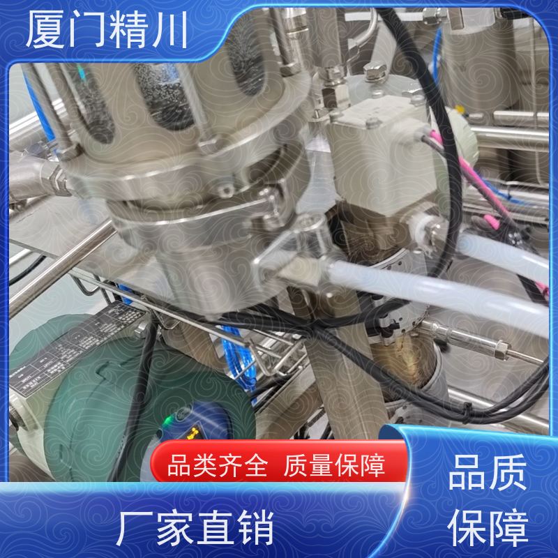 精川股份 高校DN1质量流量计 连接方式支持定制 省心