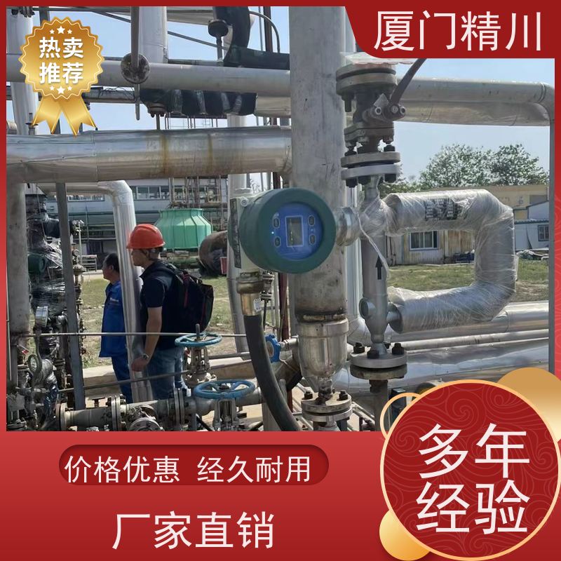 精川股份食品厂科氏力质量流量计接液316L材质省心