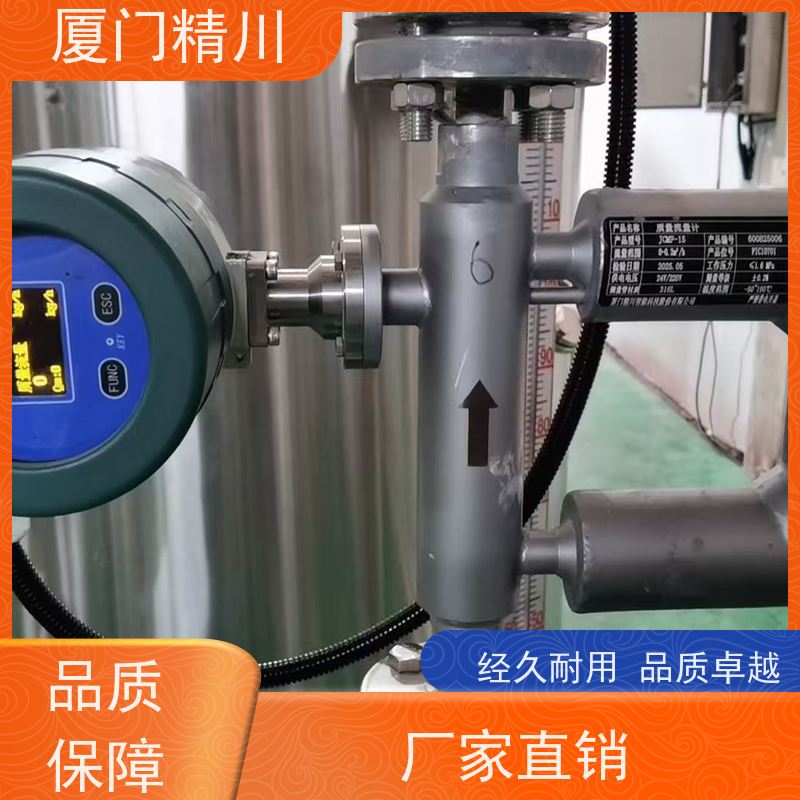 精川股份 锂电行业U型质量流量计 支持定制 省心