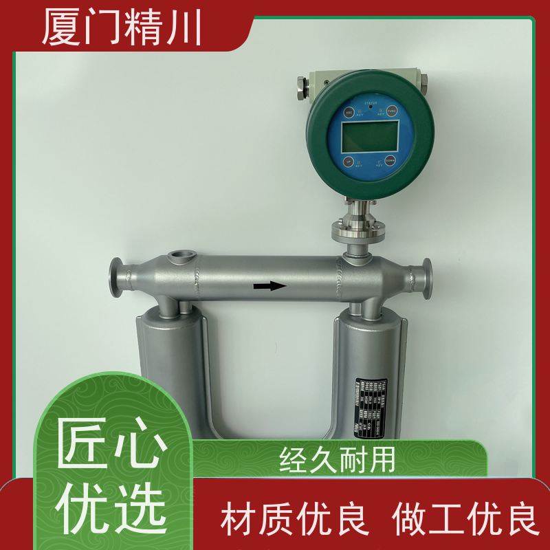 精川 锂电行业气体质量流量计 精度0.2级 有保障