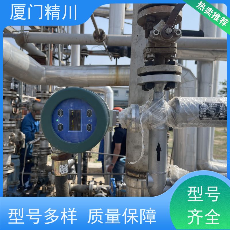 精川 高校科氏力质量流量计 连接方式支持定制 更耐用