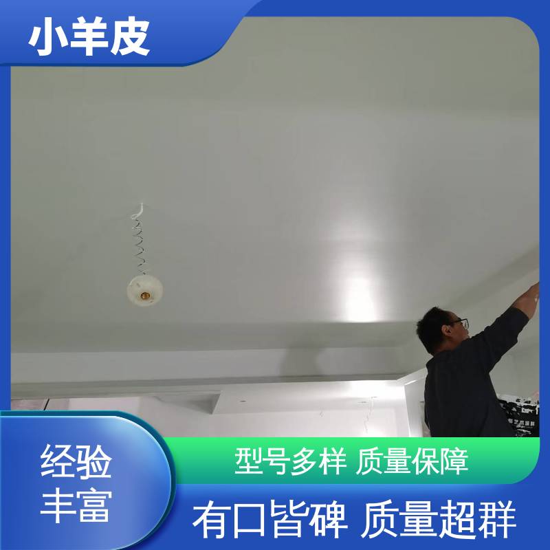 威乐森 小羊皮漆 稀释比例≤5%体积清水 源头厂家 品类齐全