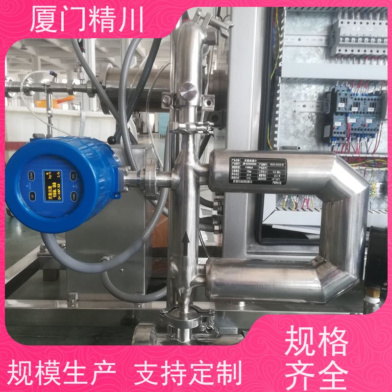 精川 设备配套小口径质量流量计 支持定制 有保障