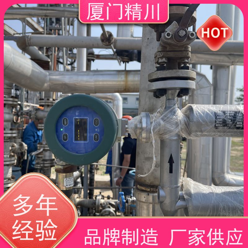 精川股份半导体U型质量流量计连接方式支持定制更耐用