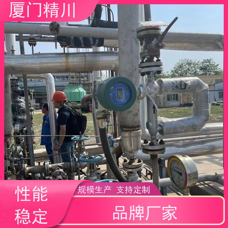 精川锂电行业科氏力质量流量计精度0.2级有保障
