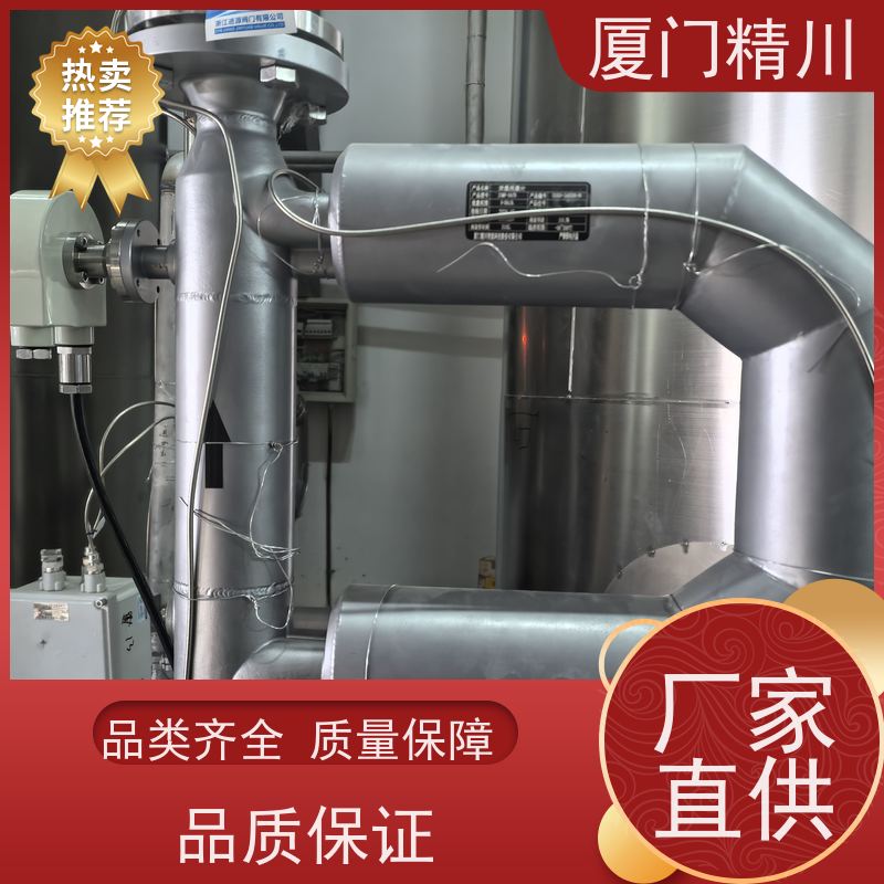 精川锂电行业小口径质量流量计精度0.2级有保障
