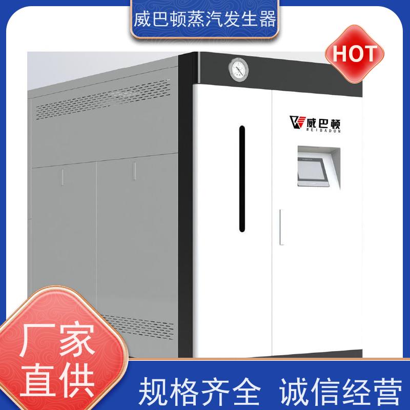  低氮冷凝 工业蒸汽发生器 体积小一半全 饲料行业