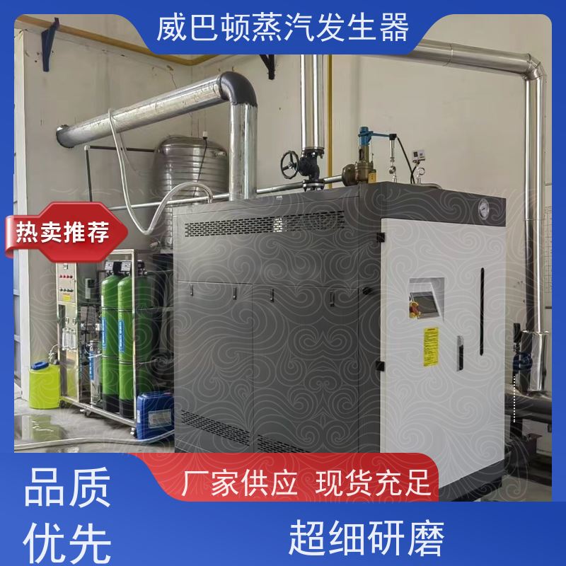  免特检 蒸馒头专用锅炉 水容积≤30L，合规又省心 橡胶厂