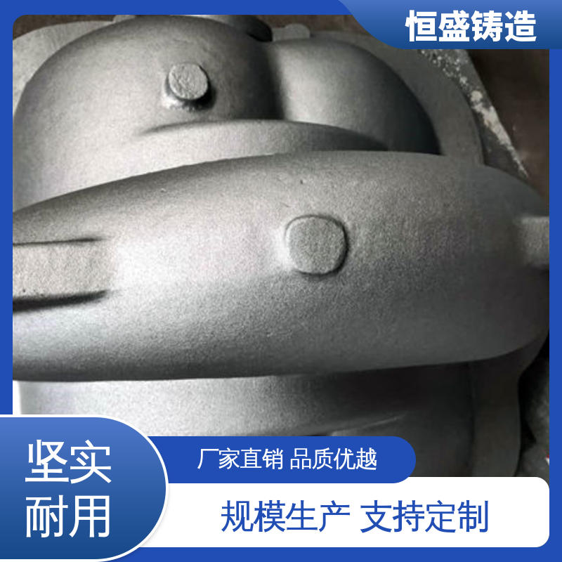 机械壳型 支持定制 灰铁机床铸件 水泵泵体 恒盛供应