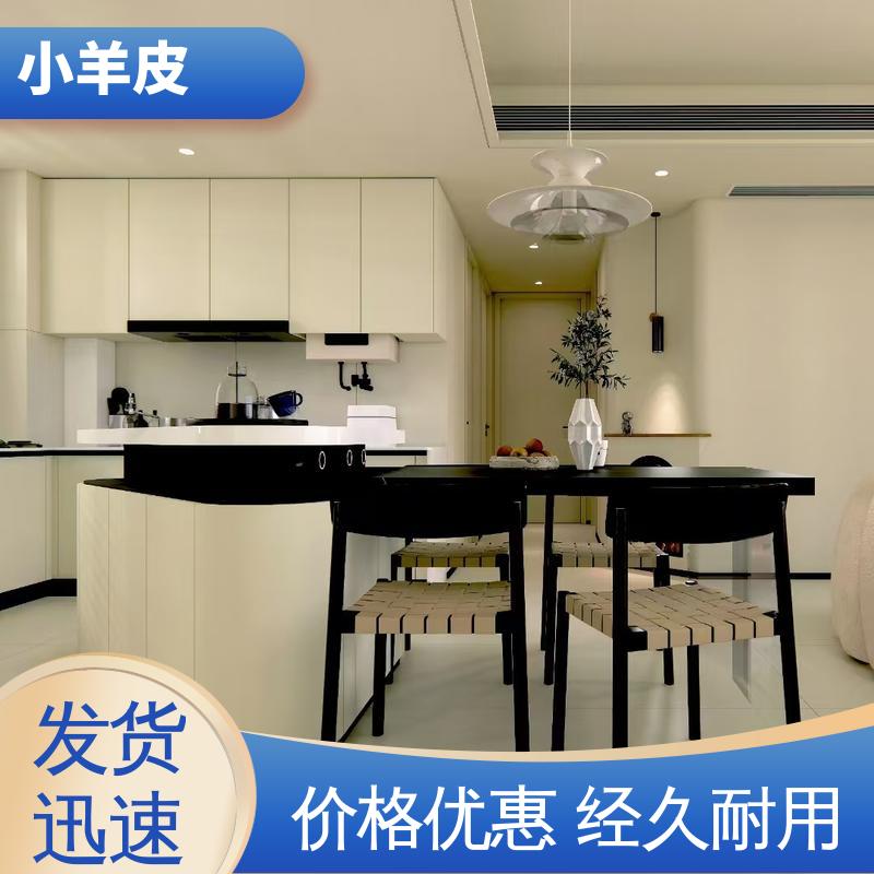 威乐森 小羊皮艺术漆 养护周期 7天 SC-3500 开拓创新 品质致胜