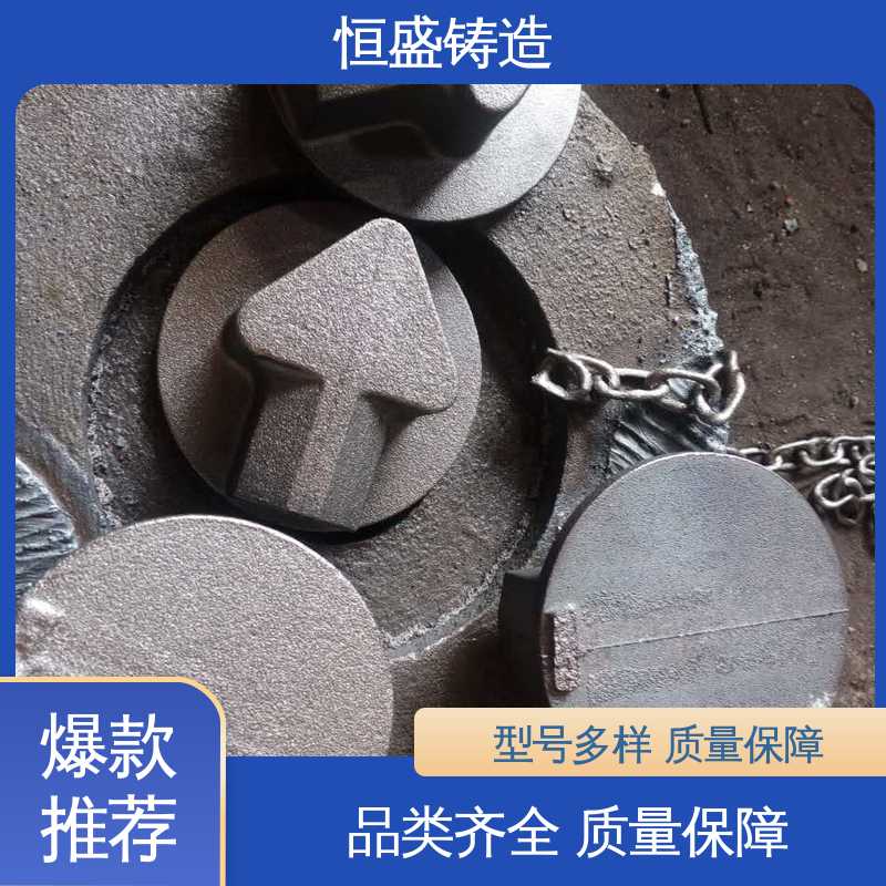 可加logo 真空浇筑 异性铸件 建筑工地用 恒盛供应