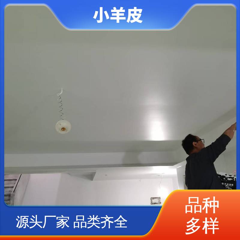 威乐森 小羊皮艺术漆工艺 耐水性48小时无异常 源头厂家 品类齐全