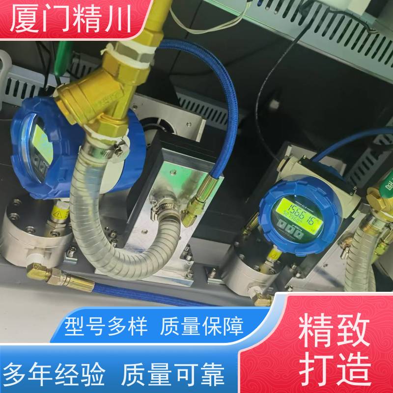 精川股份制药设备PEEK材质圆齿轮流量计体积小坚守品质