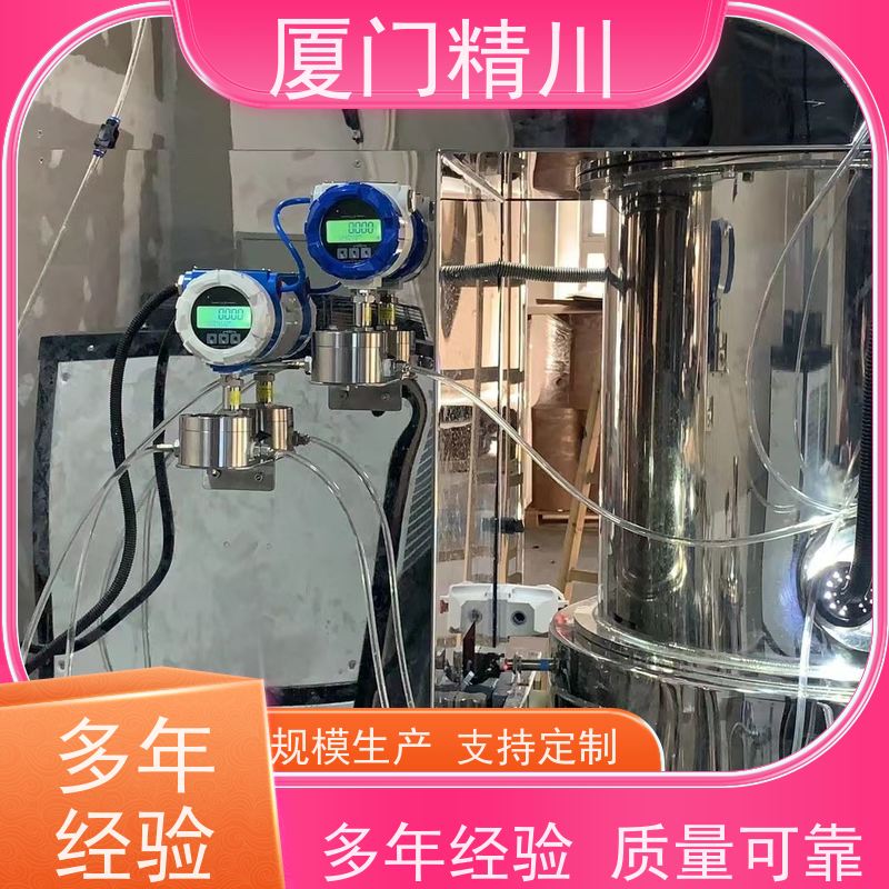 精川股份 加药系统 防腐型齿轮流量计 每台实标合格出厂 保证品质