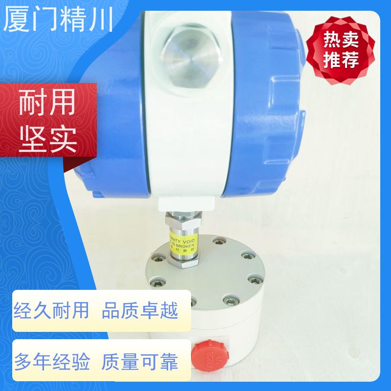 精川 油脂 防腐型齿轮流量计 每台实标合格出厂 保证品质