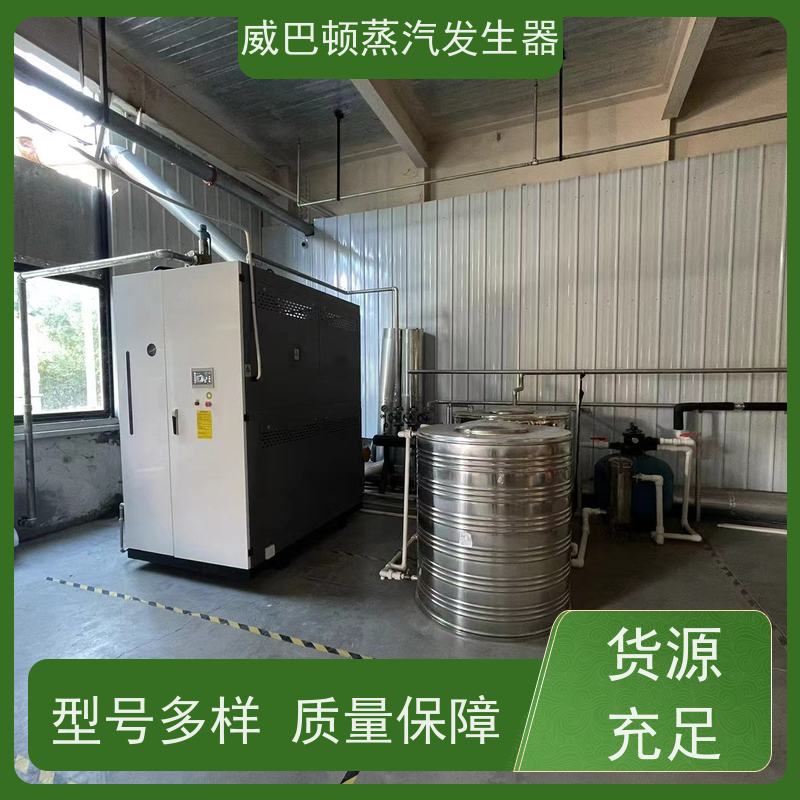  低氮冷凝 4T蒸汽发生器 体积小一半全 豆腐腐竹加工厂