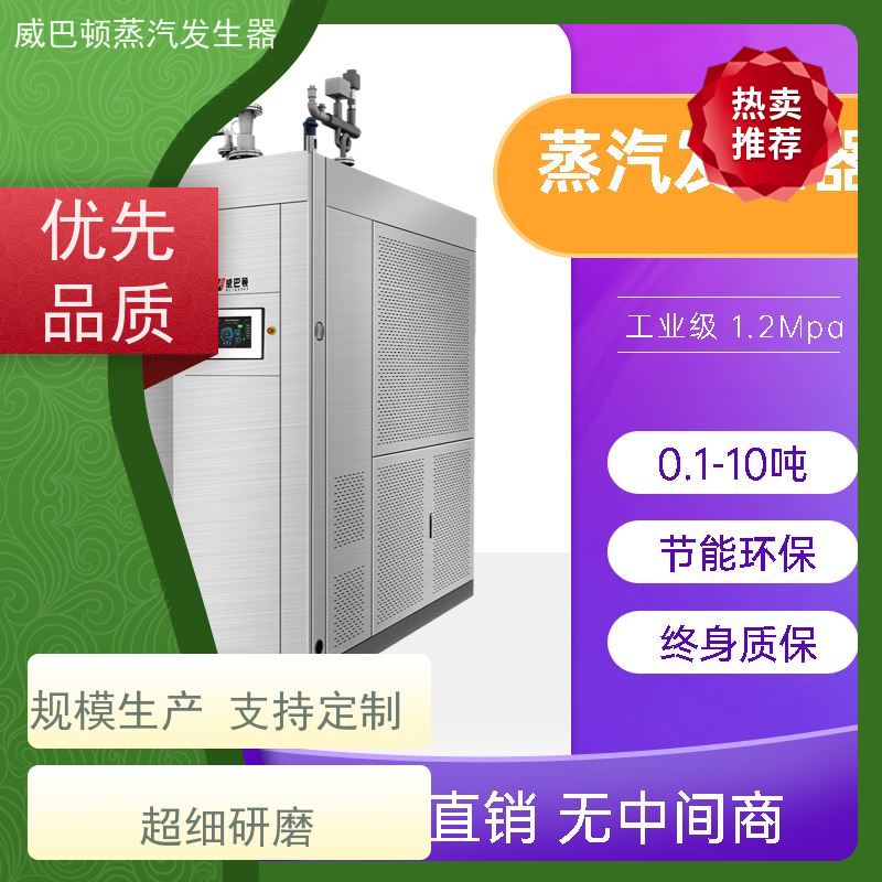  灭菌消毒 10吨天然气锅炉 小车间也能轻松装 化工厂