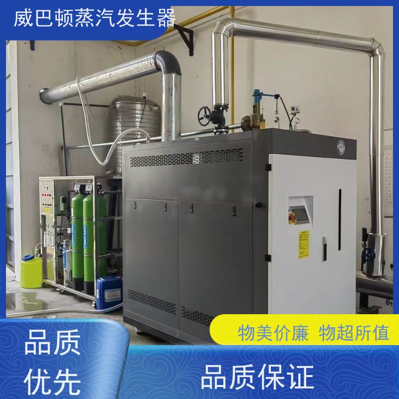  食品级 3T蒸汽发生器 热效率 101% 还省气 化工厂