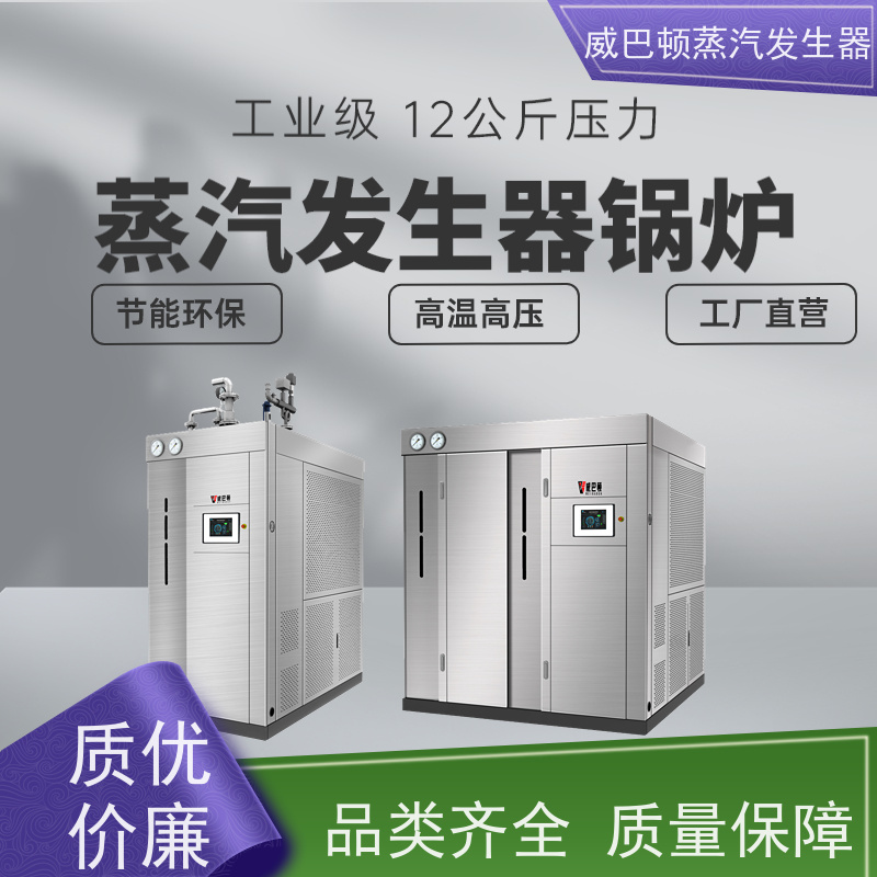  灭菌消毒 蒸馒头专用锅炉 水容积≤30L，合规又省心 食品厂