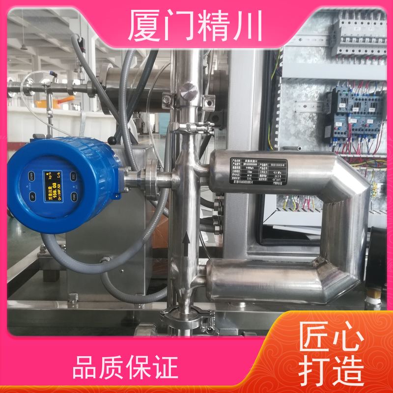 精川 制药厂DN1质量流量计 连接方式支持定制 更放心