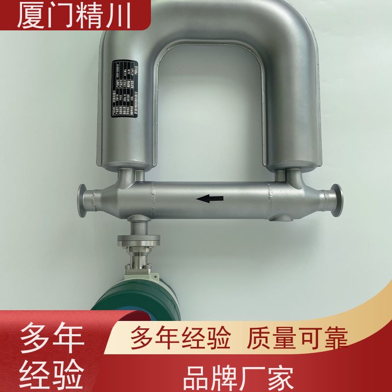 精川股份 制药厂质量流量计 接液316L材质 有保障